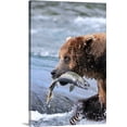 thumbnail image 1 of Great BIG Canvas | "A brown bear carries away a chum salmon it caught at the McNeil River Falls" Canvas Wall Art - 20x30, 1 of 2