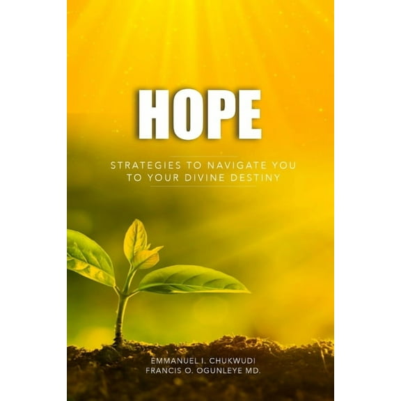Hope: Strategies to Navigate You to Your Divine Destiny (Paperback)