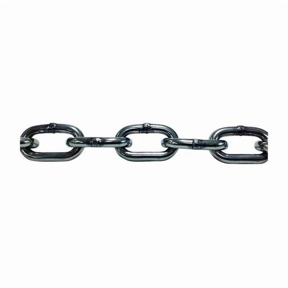Pewag Straight Chain,304 SS,5'L,410 lb 4893/5