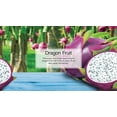 thumbnail image 4 of Little Trees Dragon Fruit Hanging Air Freshener for Car & Home 96 Pack!, 4 of 4