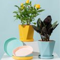 thumbnail image 4 of pitrice Flowerpot Gardening Base Container Garden Ornament Multiple Colors Plant Planter Practical Portable Fashionable White, 4 of 9