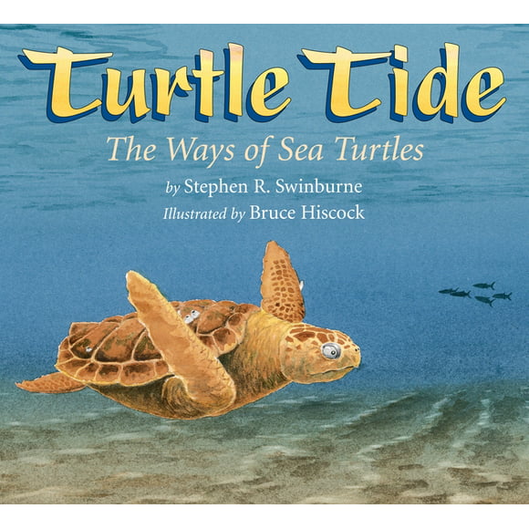 Turtle Tide : The Ways of Sea Turtles (Paperback)
