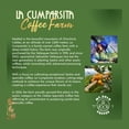 thumbnail image 5 of Mt. Zulu Gesha/Geisha Exotic Coffee Beans, Premium Specialty Coffee, 86.75 SCA, Medium Roast, Chamomile, Calendula & Chocolate Notes, Pour-Over Beans, 8 oz Bag, 5 of 7