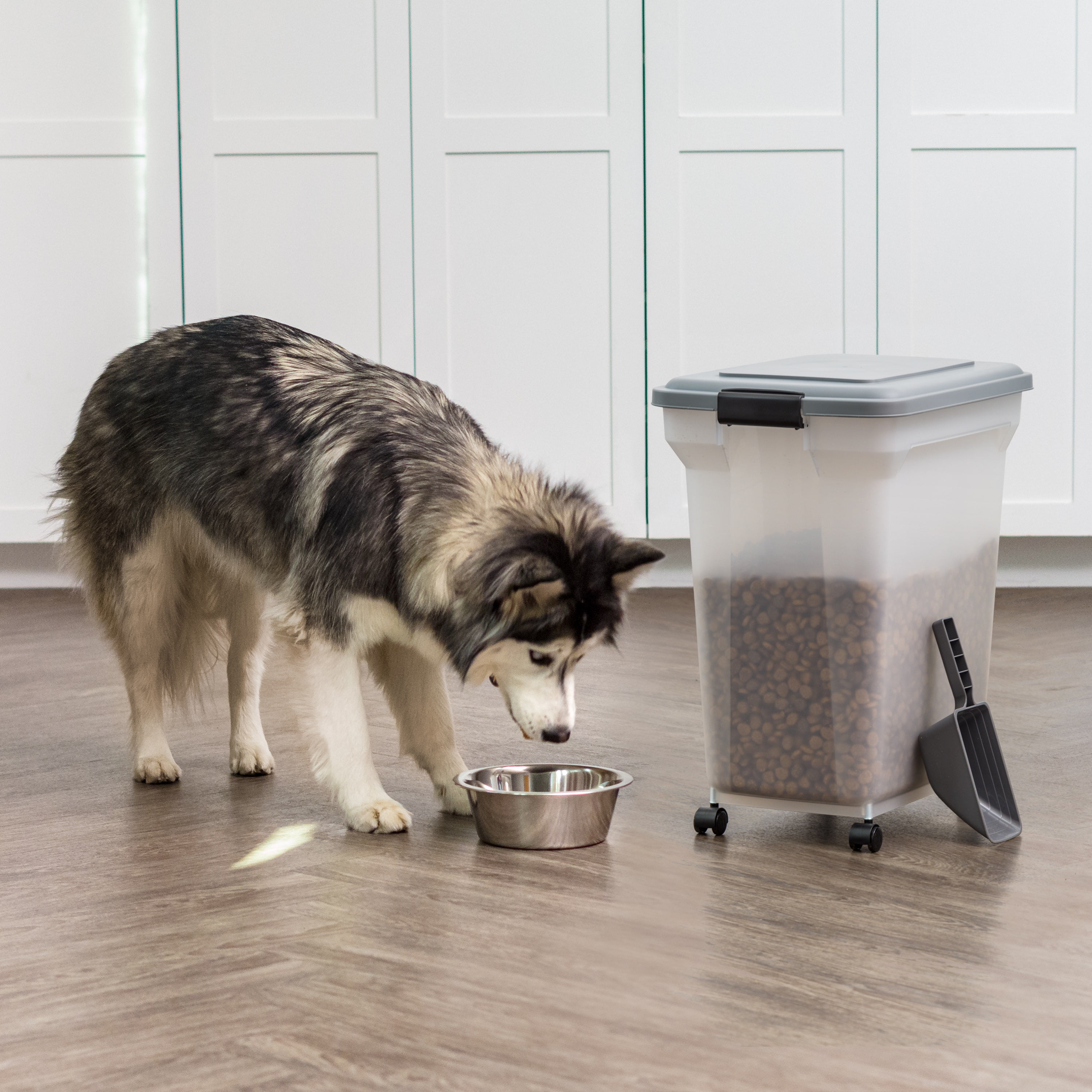 Frisco Airtight Dog & Cat Food Storage Canister, 26 qt