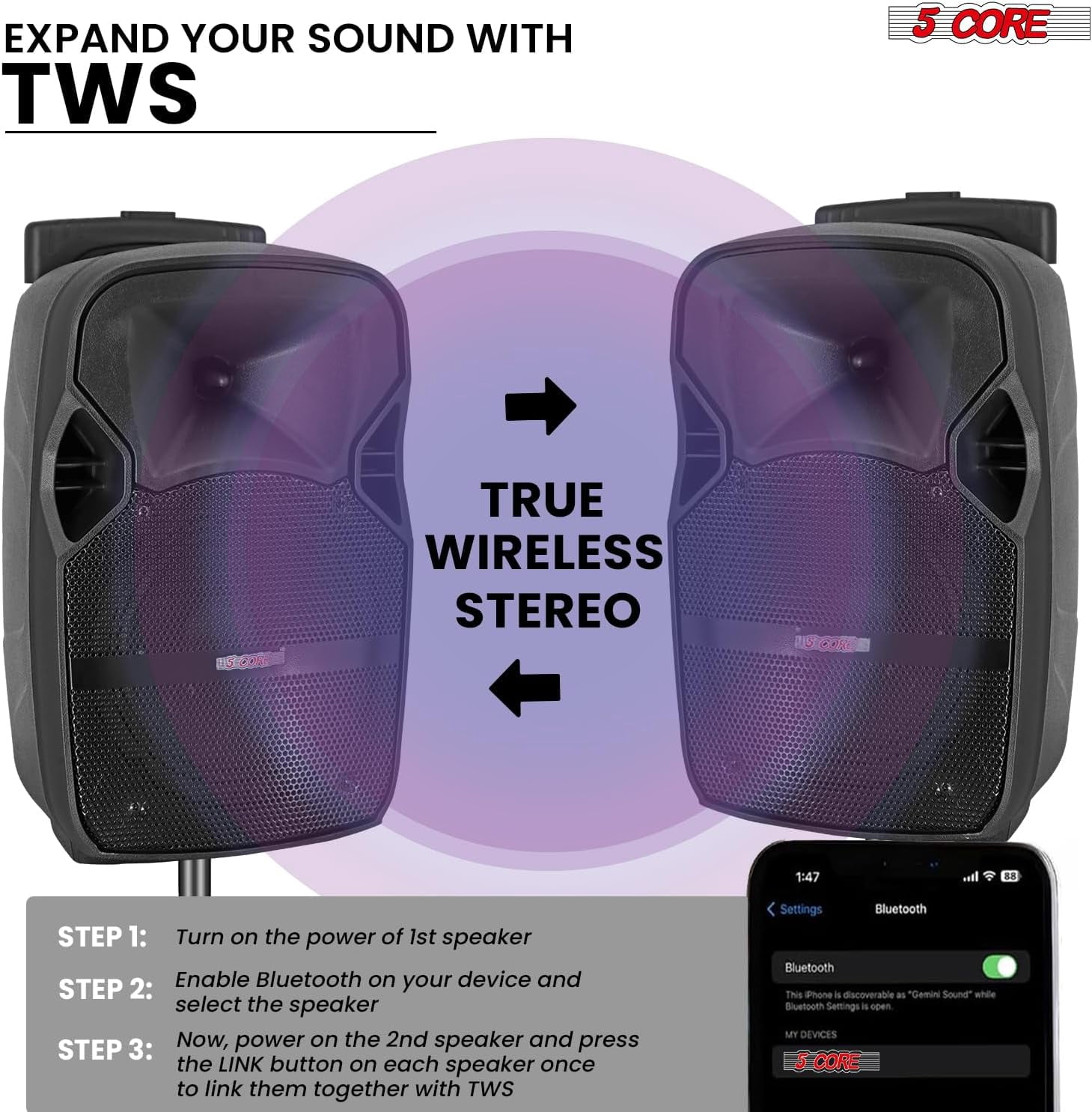 8" Portable Bluetooth Party Speaker with 2 Wireless Mics – 250W Rechargeable PA System, Karaoke Boombox & Tripod Stand for Outdoor Events