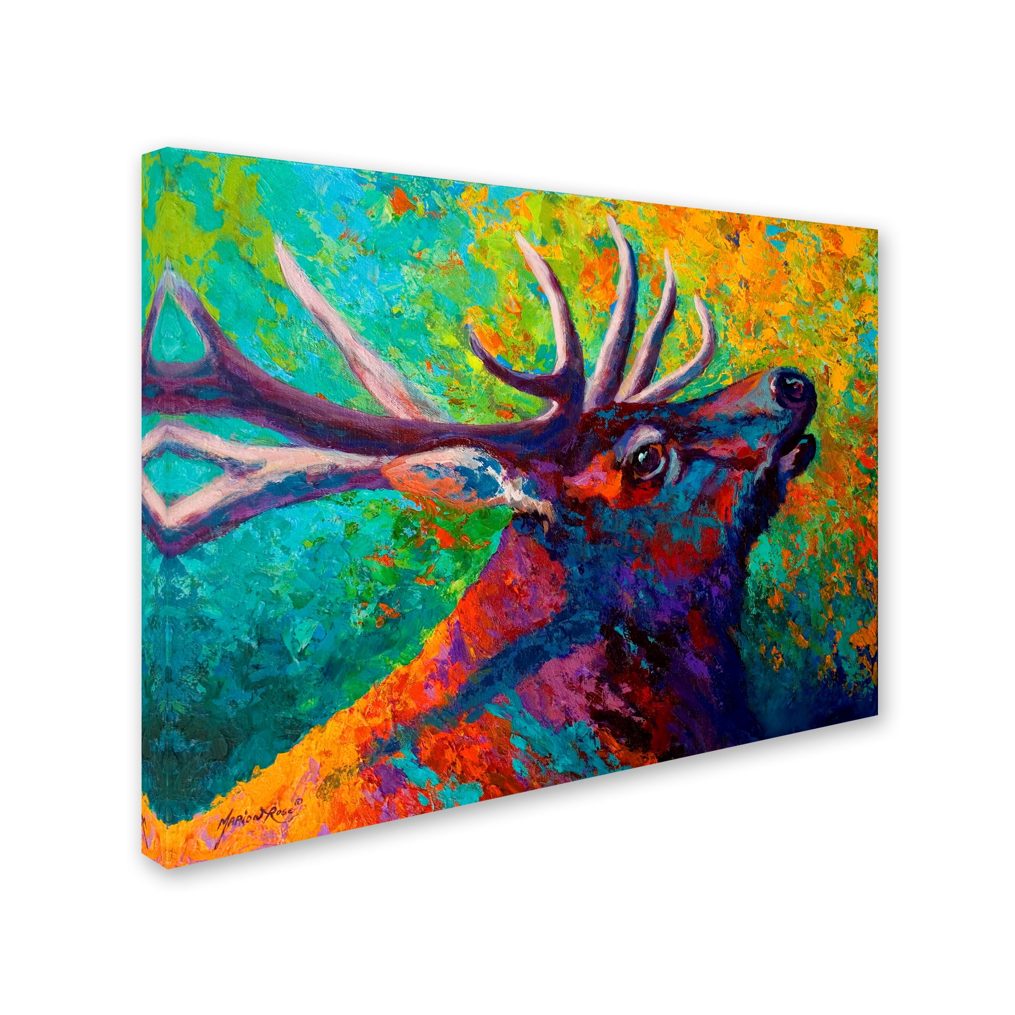 Trademark Fine Art 'Echo Elk' Canvas Art by Marion Rose