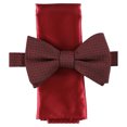 thumbnail image 1 of Alfani - Juego de pañuelos de bolsillo para hombre, pajarita autoatada, rojo, talla única, 1 of 1