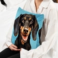 thumbnail image 6 of Dachshund Velvet Throw Covers Pillows with Unique Patterns - Set of 2 Decorative Pillow Inserts in 16x16, 18x18, 20x20 Inches for Home Decor and More, 6 of 6