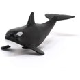 thumbnail image 2 of Vie Sauvage, Bébé Orque (Baleine Tueuse), 2 of 4