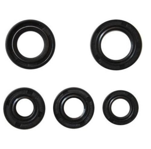 1P50FMG and 1P52FMH motors 1P49FMF Oil Seal Kit 70-125cc 5 Seals for 1P47FMD 