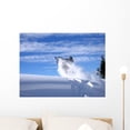 thumbnail image 1 of Davey Jumping Polaris 600 Wall Mural by Wallmonkeys Peel and Stick Graphic (24 in W x 18 in H) WM162846, 1 of 4