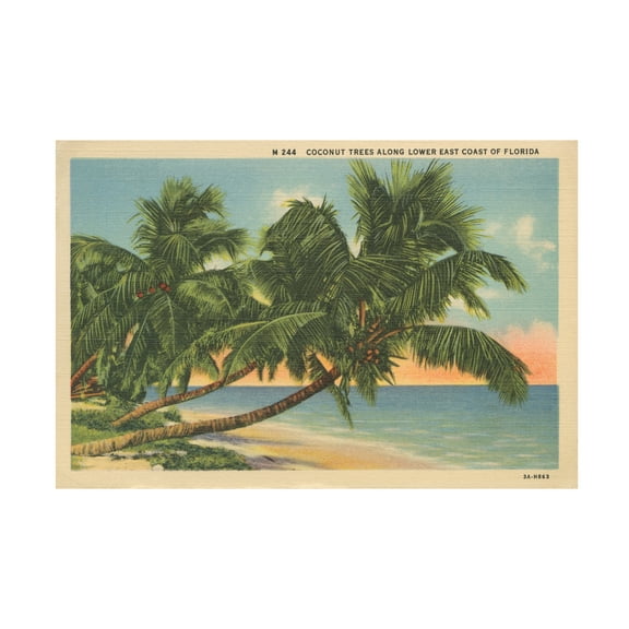 Wild Apple Portfolio 'Florida Postcard III' Canvas Art