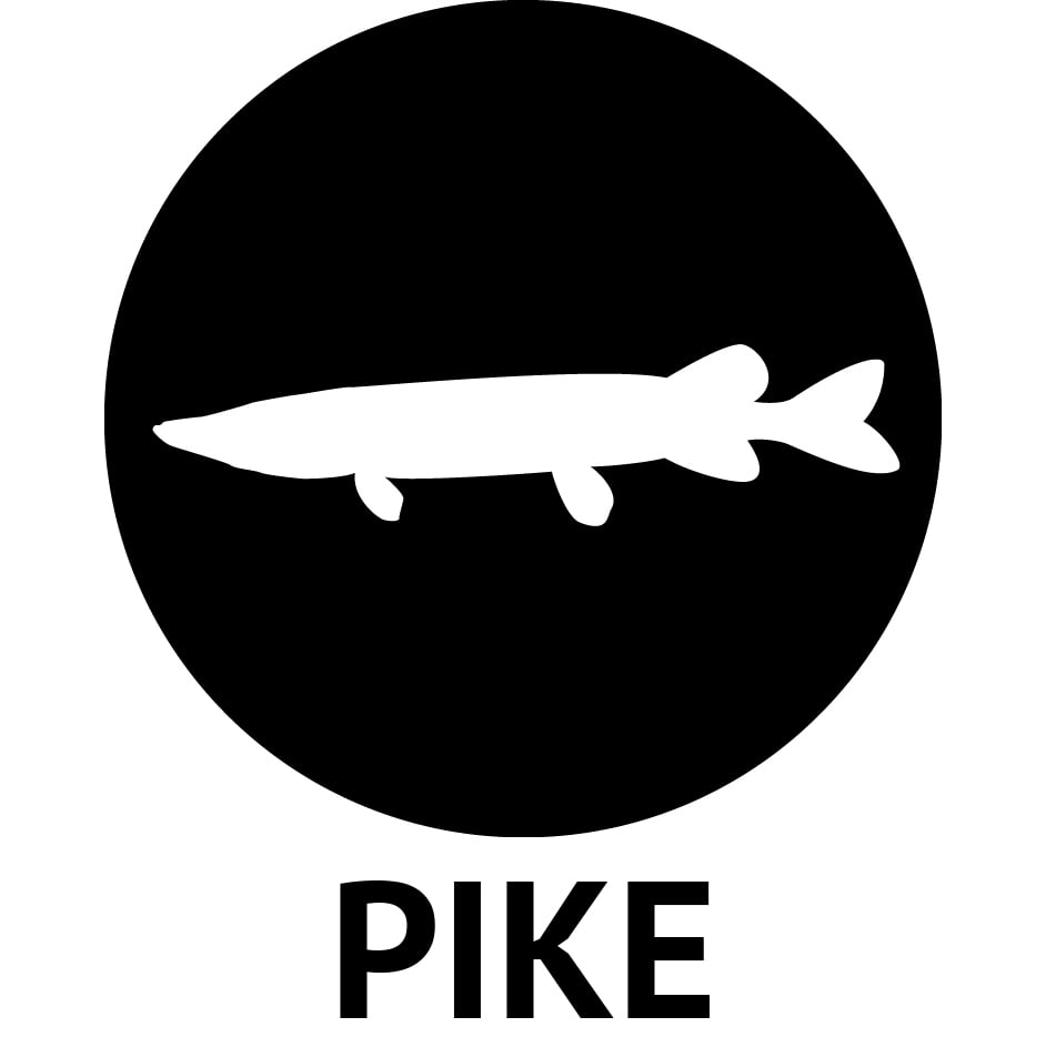 Northland SNJ4-12-99 Tête plombée Sink'N, 1/4 oz, crochet 2/0, assorti, 12/sac