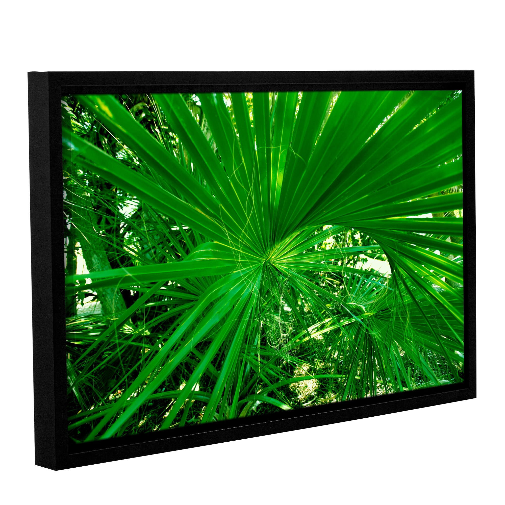 ArtWall Lindsey Janich "Spiral" Gallery-Wrapped Floater-Framed Canvas