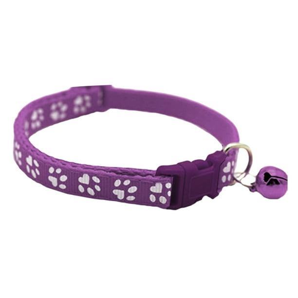 Kitten choker best sale