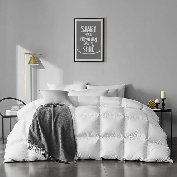 APSMILE Queen Size Feathers Down Comforter - Ultra Soft All Seasons 100% Organic Cotton Duvet Insert Medium Warm Quilted Bed Comforter with Corner Tabs (90x90,Ivory White)
