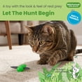 thumbnail image 2 of Catstages Squish Prey Fly Cat Toy, Realistic Bug for Interactive Sensory Play, Indoor Cats, Soft & Squishy, Catnip Oil Infused, 4", 2 of 4