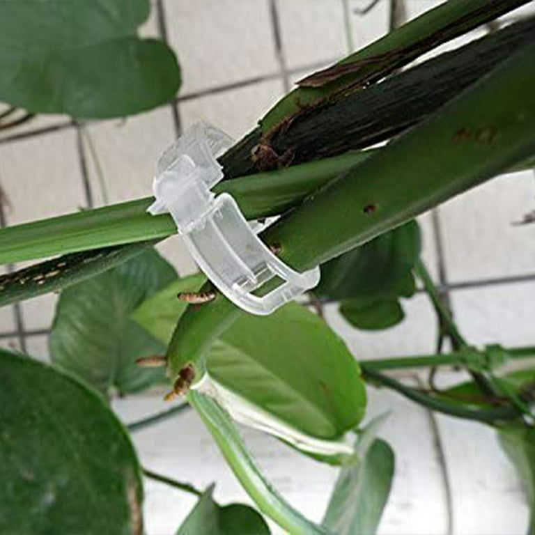 100 Pcs Plastic Plant Fixing Clips Grape Tomato Support Clips Rack