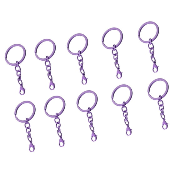 Fogun Set Of 10 Keychain Rings Assorted Colors Key Rings with Chains and Secure Clasps Fashionable Key Holders Accessories