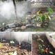 thumbnail image 4 of Kit de riego de jardín, kit de manguera de riego de jardín ajustable de 45M, sistema de riego por goteo, durabilidad extendida, 4 of 8