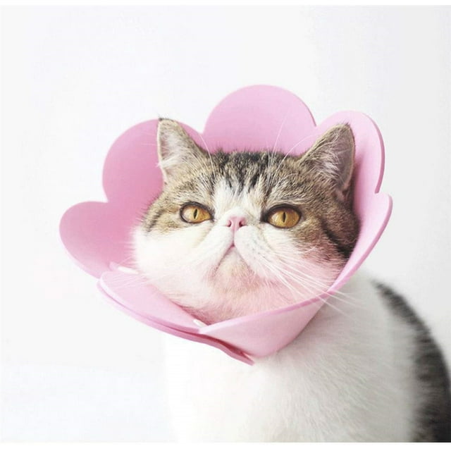 Cat Elizabethan Recovery Collar Cat Cones After Surgery, Adjustable