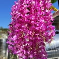 thumbnail image 3 of 12 Pack Artificial Flowers Silk Wisteria Vine Ratta Hanging Flower (Red), 3 of 5