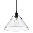 thumbnail image 4 of Yep by Golden Lighting Orwell 1-light 14in Pendant in Matte Black and Clear Glass, 4 of 4