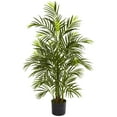 thumbnail image 1 of Palmier Areca de 3,5 Pieds Résistant aux UV (Intérieur/extérieur), 1 of 3