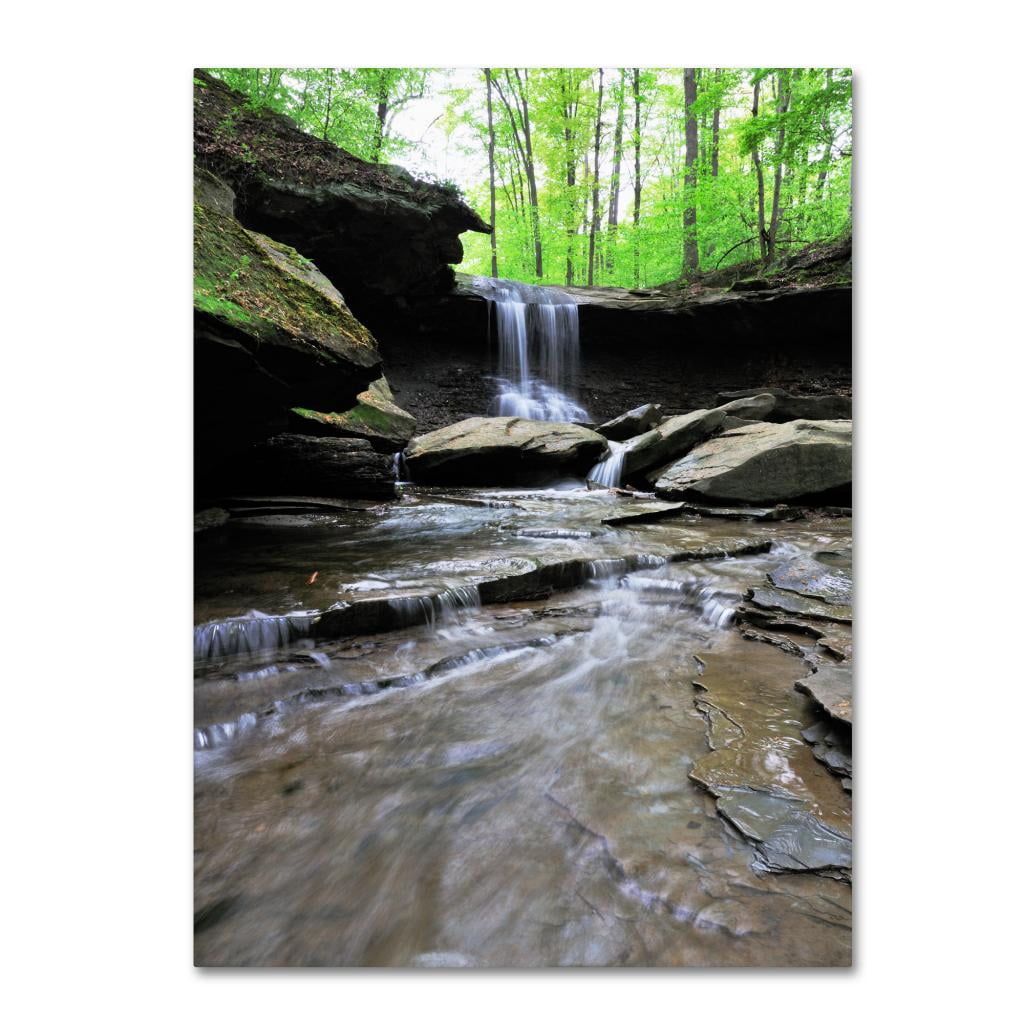Trademark Fine Art "Blue Hen Falls in Spring" Canvas Wall Art by Kurt Shaffer