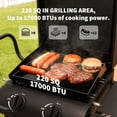 thumbnail image 2 of Hvoonc Portable Propane Gas Grill,17000BTUs Foldable Barbecue Grill with 2-Burner,Outdoor Grill for Backyard, Camping and Picnics,Black, 2 of 10