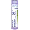 Boiron Gelsemium Sempervirens 200CK, Homeopathic Medicine for Apprehension With Trembling, Headaches, 80 Pellets