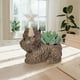 thumbnail image 4 of Maceta con Plantas Suculentas de Carne de Res de Las Tierras Altas Simuladas, 4 of 5