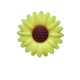 thumbnail image 1 of Cuentas de flores de silicona Cuentas de silicona Cuentas de gel para dientes Accesorios para pulseras Cuentas redondas, 1 of 6