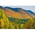 thumbnail image 2 of Jaynes Gallery 24x17 Gold Ornate Wood Framed with Double Matting Museum Art Print Titled - Canada-Quebec-Parc National de la Gaspesie Autumn colors in Chic-Choc Mountains, 2 of 4