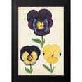 thumbnail image 2 of Unknown 11x14 Black Modern Framed Museum Art Print Titled - Antique Pansies I, 2 of 5