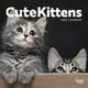 thumbnail image 1 of Calendario: Cute Kittens 2026 Square Btau Blanco, 1 of 4
