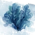 thumbnail image 2 of Robinson, Carol 15x15 White Modern Wood Framed Museum Art Print Titled - Coastal Coral II, 2 of 4