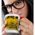thumbnail image 2 of 3drose, Aspen Leaves Turning Near the Colorado River, Colorado, Usa, 11oz Two-tone Red Mug, 2 of 6