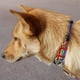 thumbnail image 5 of Collar reflectante para perros. Apto para perros pequeños, medianos y grandes., 5 of 5