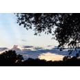 thumbnail image 2 of Alan Hausenflock 14x11 White Modern Wood Framed Wall Art Titled - Sunset Through the Trees I, 2 of 5