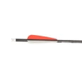 thumbnail image 6 of Bear X TrueX Max Crossbow Bolts, 6 of 7