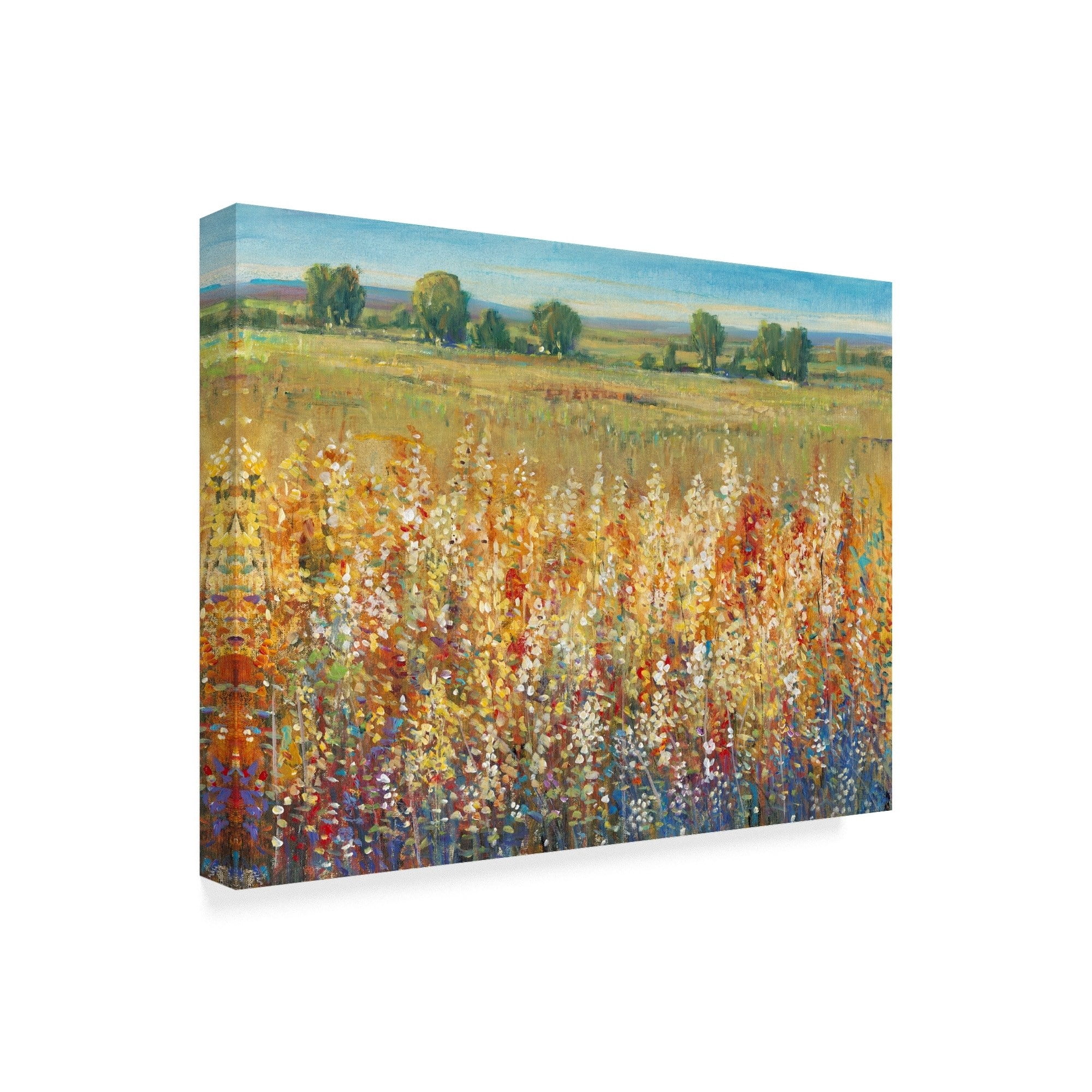 Trademark Fine Art 'Gold and Red Field I' Canvas Art by Tim OToole