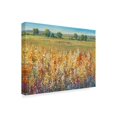 thumbnail image 2 of Trademark Fine Art 'Gold and Red Field I' Canvas Art by Tim OToole, 2 of 4