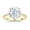 Round Yellow Gold, variant on 2CT CZ Oval Cut Engagement Rings for Women,Women’s 925 Sterling Silver Solitaire Wedding Bands Engagement Promise Rings for Her with 18K Yellow Gold Plated Size 9