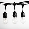 thumbnail image 1 of Hometown Evolution  100 ft. E26 Commercial Outdoor String Lights With 50 Suspended Sockets And A15 Clear Bulbs, 1 of 1