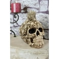 thumbnail image 5 of Ebros Large 8" Tall Ossuary Lost Souls Spirit Skull With Fire Mohawk Figurine, 5 of 6