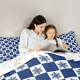 thumbnail image 5 of Feelyou Winter Snowflake Teens Queen Comforter Set, Blue Plaid Checkered Bedding Sets, Merry Christmas Reversible Bedding Comforter Set, Lightweight Room Decor, 3 Pieces, 5 of 8