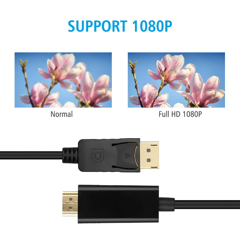10 Ft DisplayPort DP to HDMI Adapter Cable - 1080p Full HD