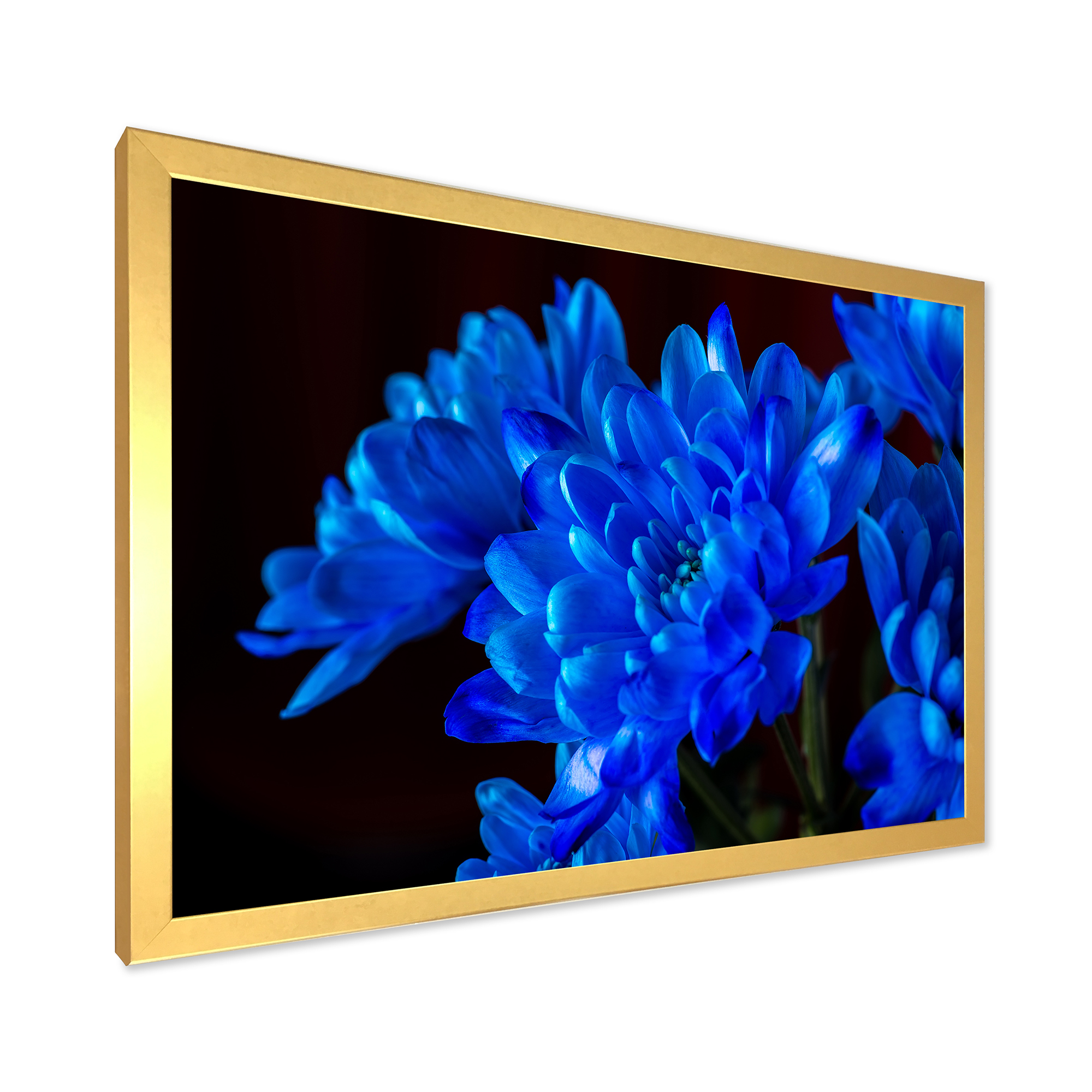 Designart 'Blue Chrysanthemum Flowers On Black Backround' Traditional Framed Art Print