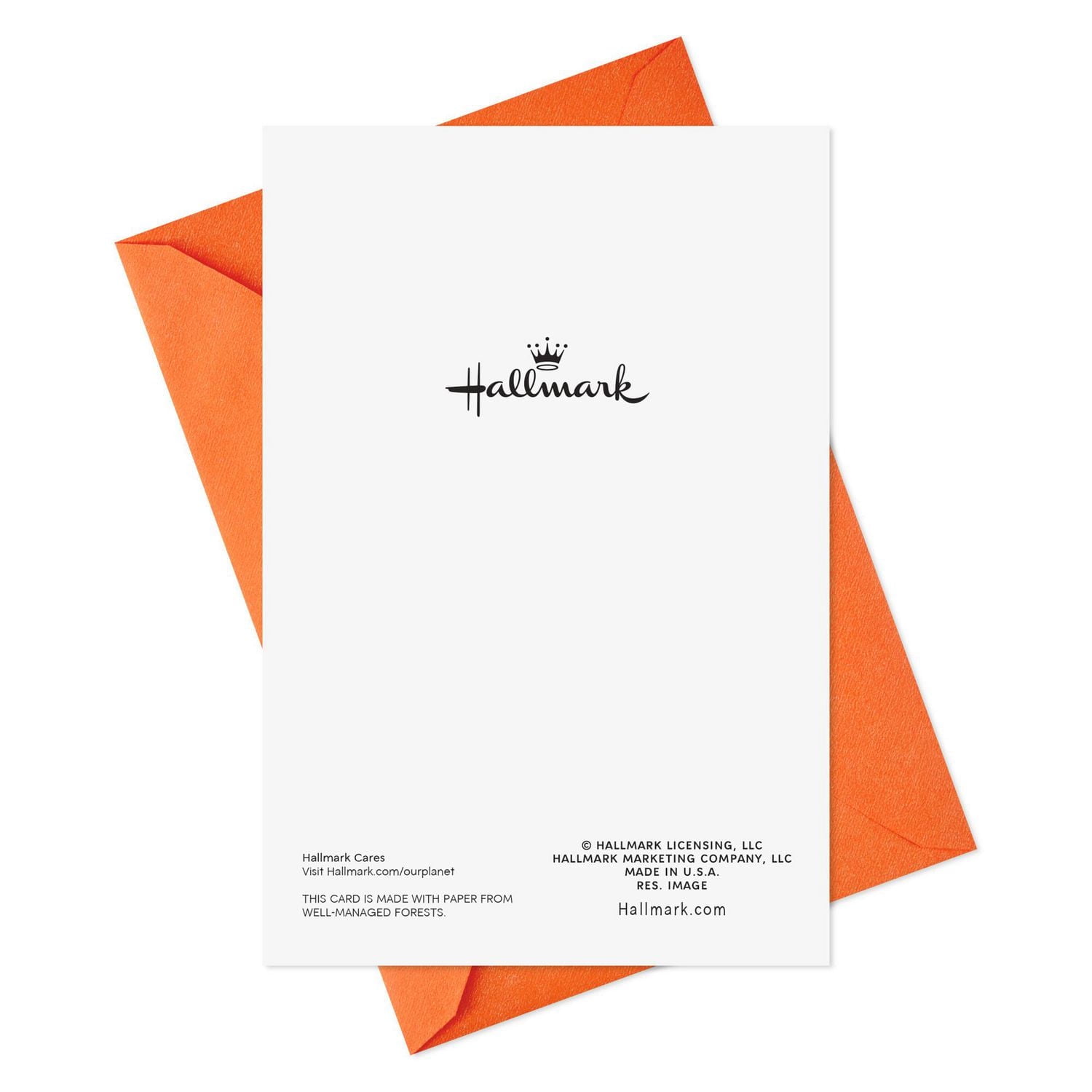 Hallmark Pumpkins and Leaves Thinking of You Cards (8 Cards With Envelopes)